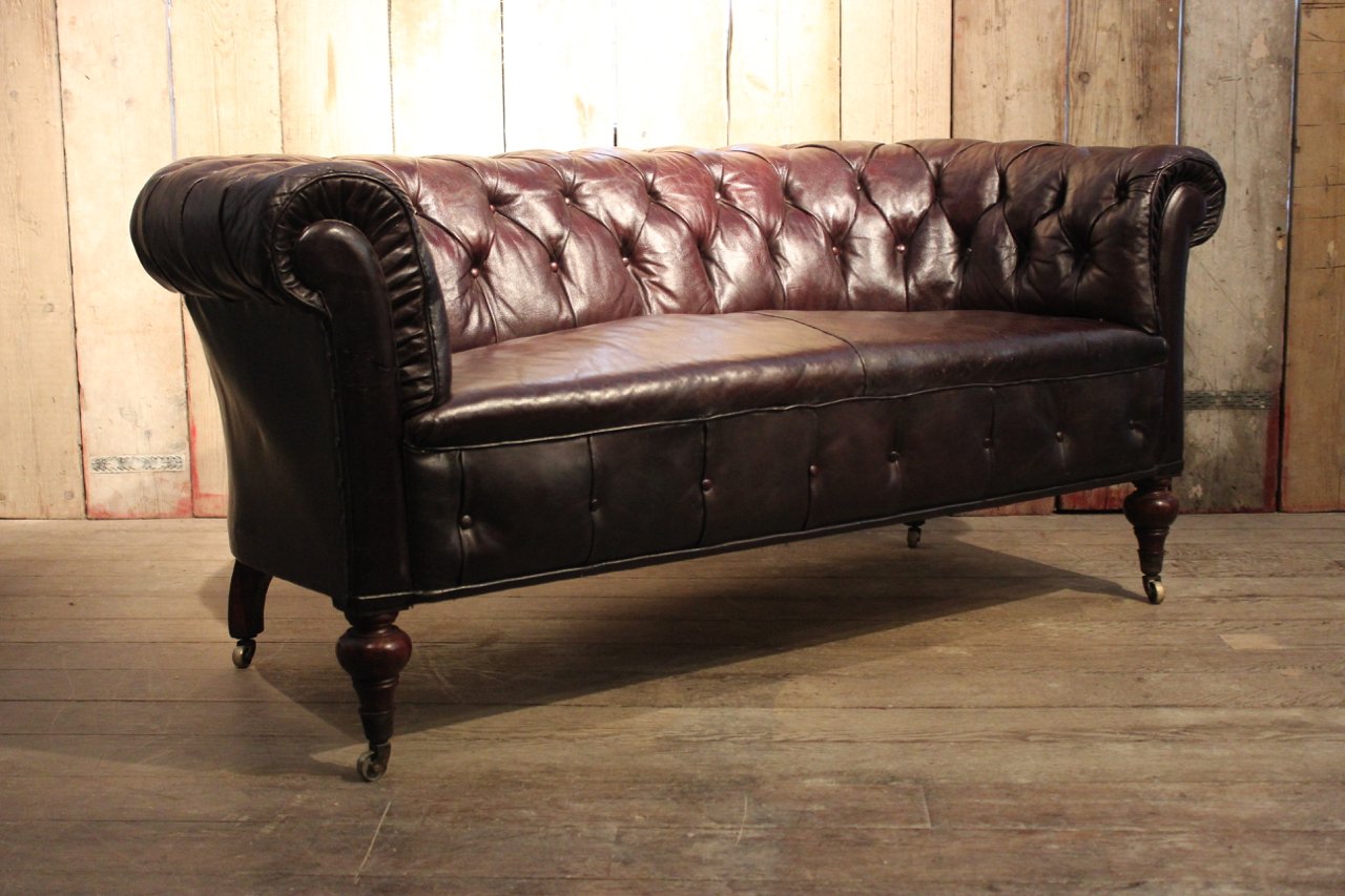 Antique English Country House Chesterfield Sofa For Sale At Pamono