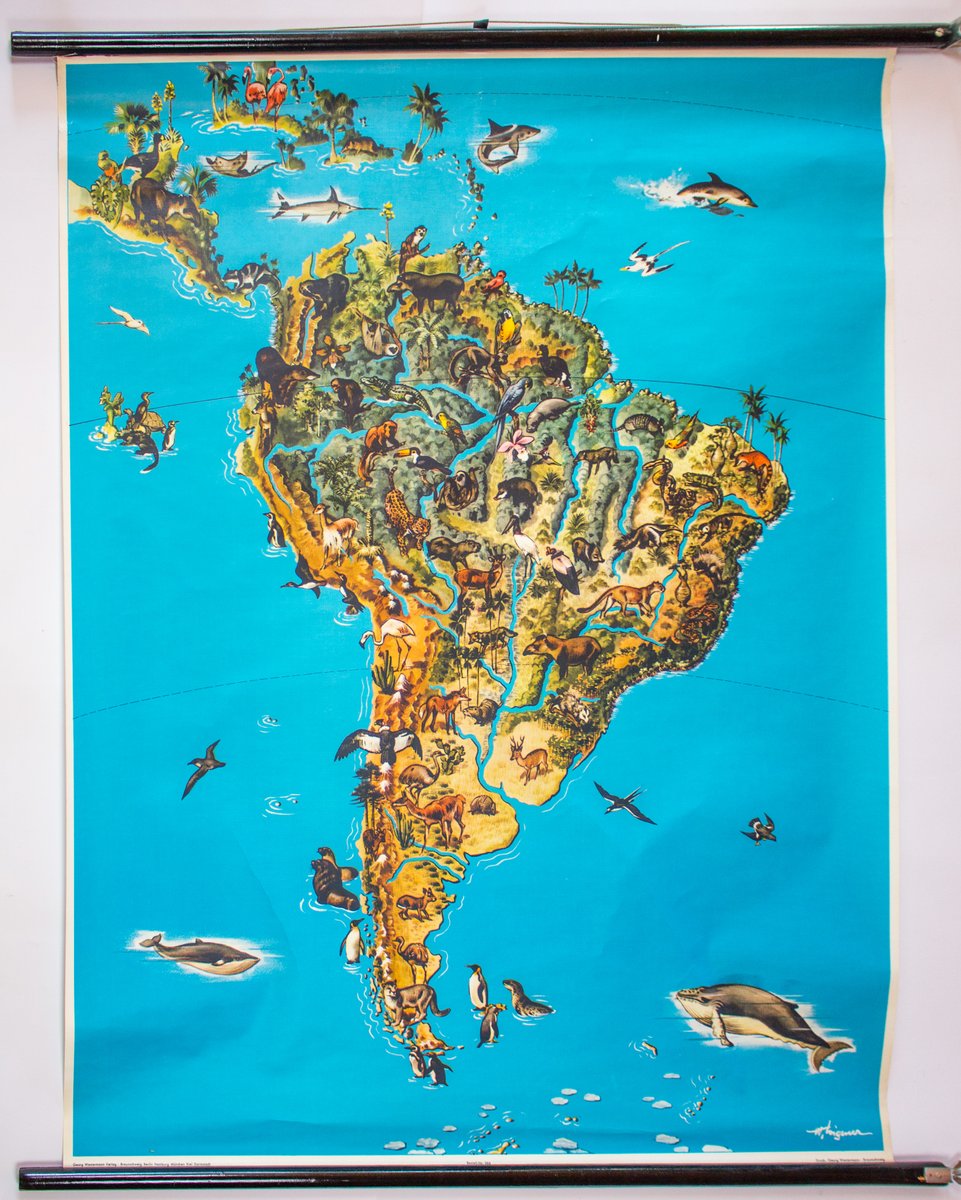 animals-of-south-america-map-1964-for-sale-at-pamono