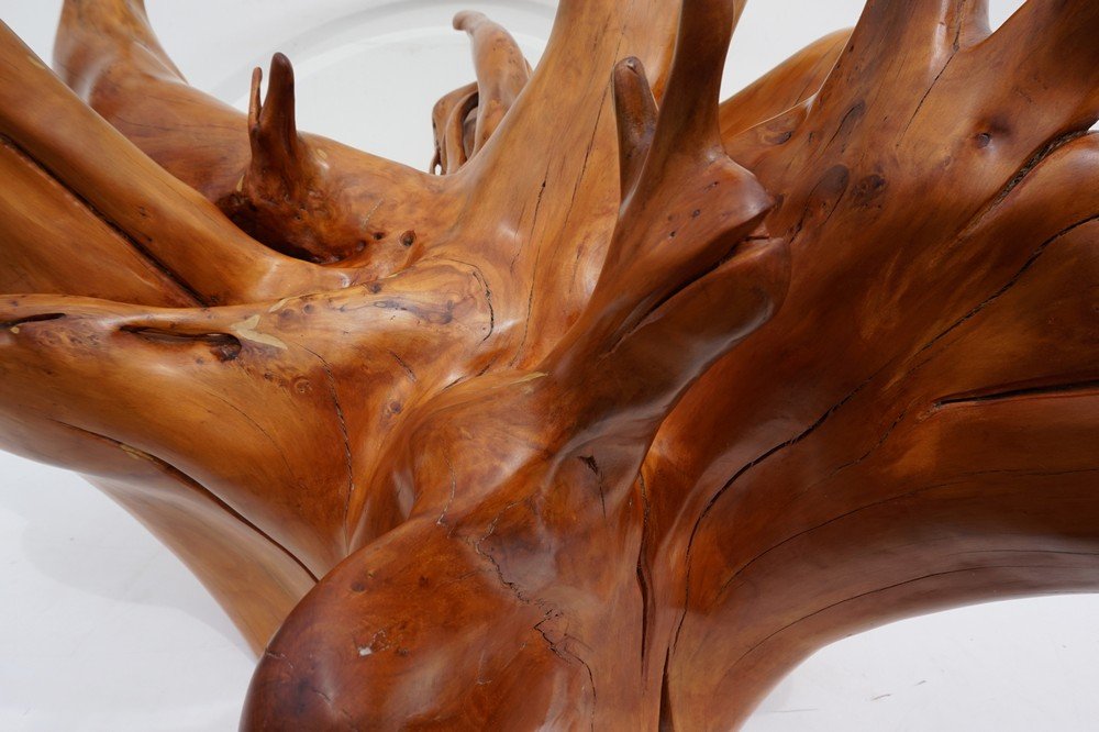 MidCentury Teak Tree Root Coffee Table with Beveled Glass Top for sale