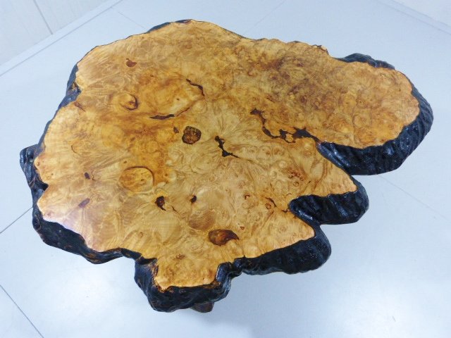 Holzstamm couchtisch aus kanada, 1960er bei pamono kaufen Holzstämme als tisch